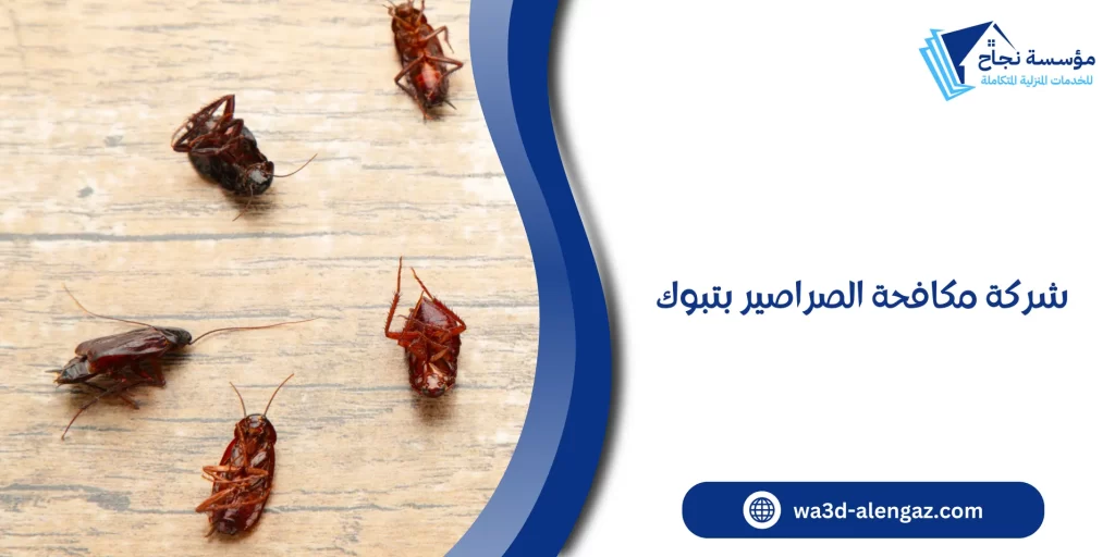 شركة مكافحة الصراصير بتبوك