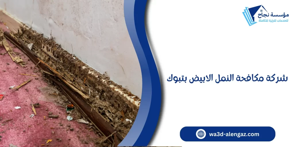 شركة مكافحة النمل الابيض بتبوك