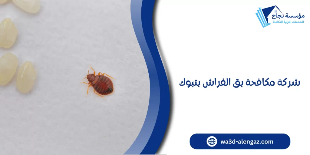 شركة مكافحة بق الفراش بتبوك